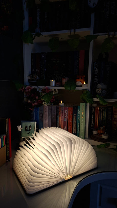The Book Lamp ( 60% discount!)