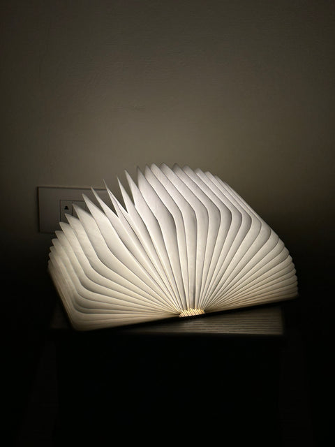 The Book Lamp